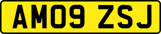 AM09ZSJ