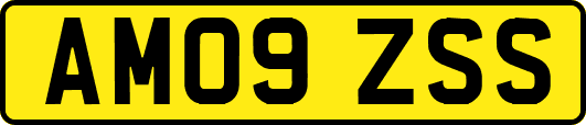 AM09ZSS