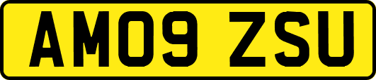AM09ZSU