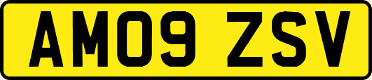 AM09ZSV