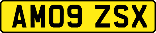AM09ZSX