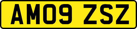 AM09ZSZ