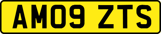 AM09ZTS