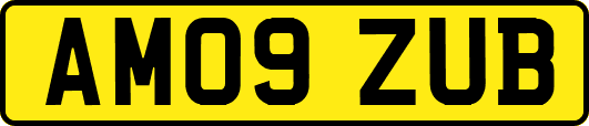 AM09ZUB