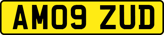 AM09ZUD