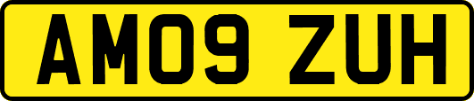 AM09ZUH