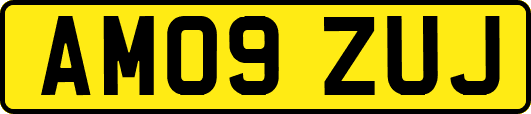AM09ZUJ