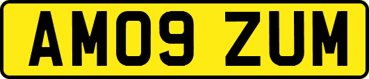 AM09ZUM