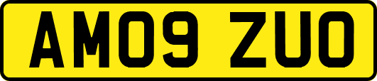 AM09ZUO