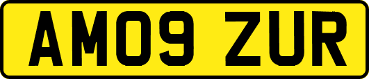 AM09ZUR