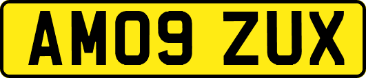 AM09ZUX