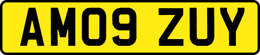 AM09ZUY