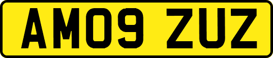 AM09ZUZ