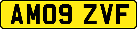 AM09ZVF