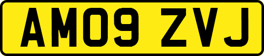 AM09ZVJ