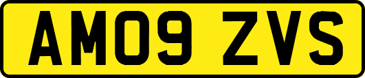 AM09ZVS