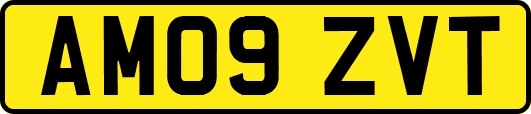 AM09ZVT