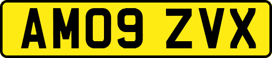 AM09ZVX