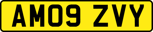 AM09ZVY