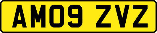 AM09ZVZ