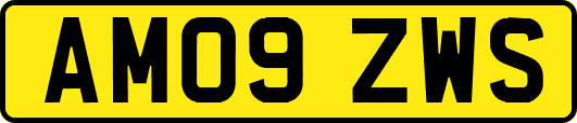 AM09ZWS