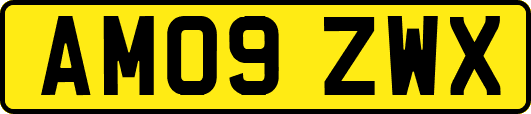 AM09ZWX