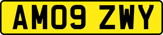 AM09ZWY