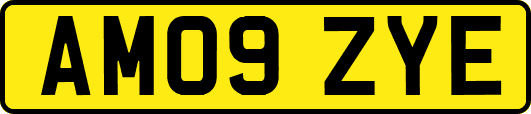 AM09ZYE