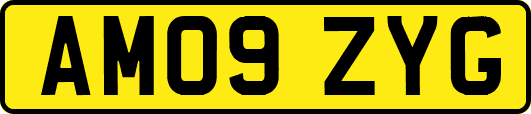 AM09ZYG