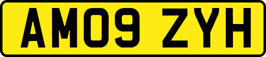 AM09ZYH