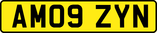 AM09ZYN
