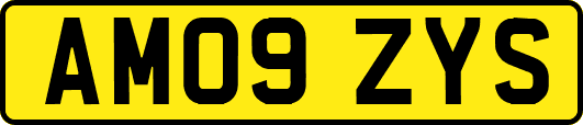 AM09ZYS