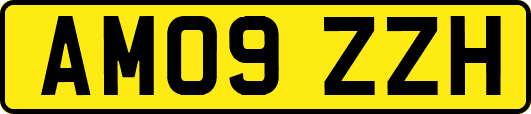 AM09ZZH