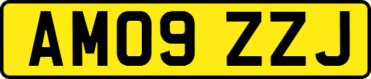 AM09ZZJ