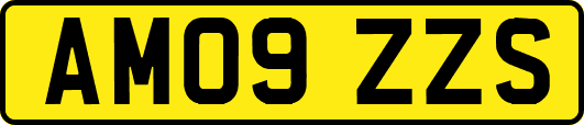 AM09ZZS