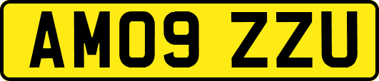 AM09ZZU