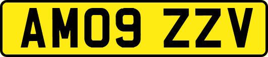 AM09ZZV