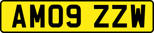 AM09ZZW