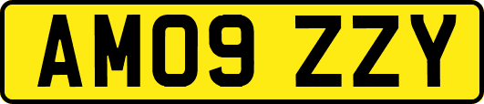 AM09ZZY