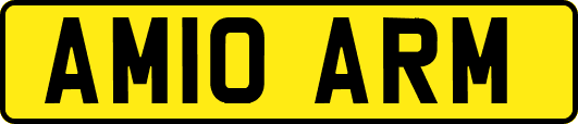 AM10ARM