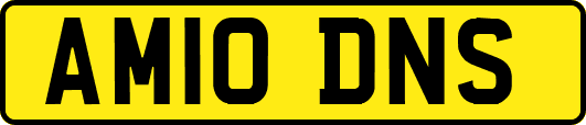 AM10DNS