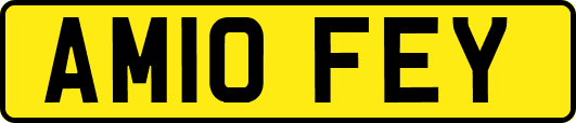 AM10FEY