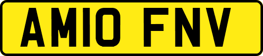 AM10FNV