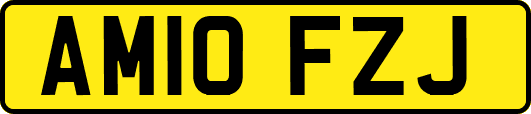 AM10FZJ