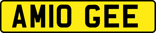 AM10GEE