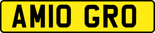 AM10GRO