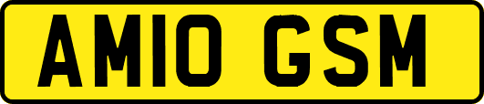 AM10GSM
