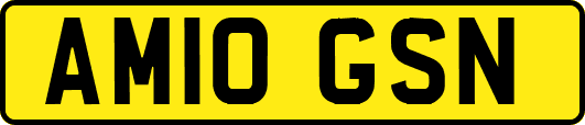 AM10GSN