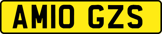 AM10GZS