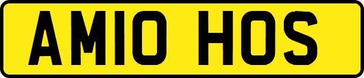 AM10HOS